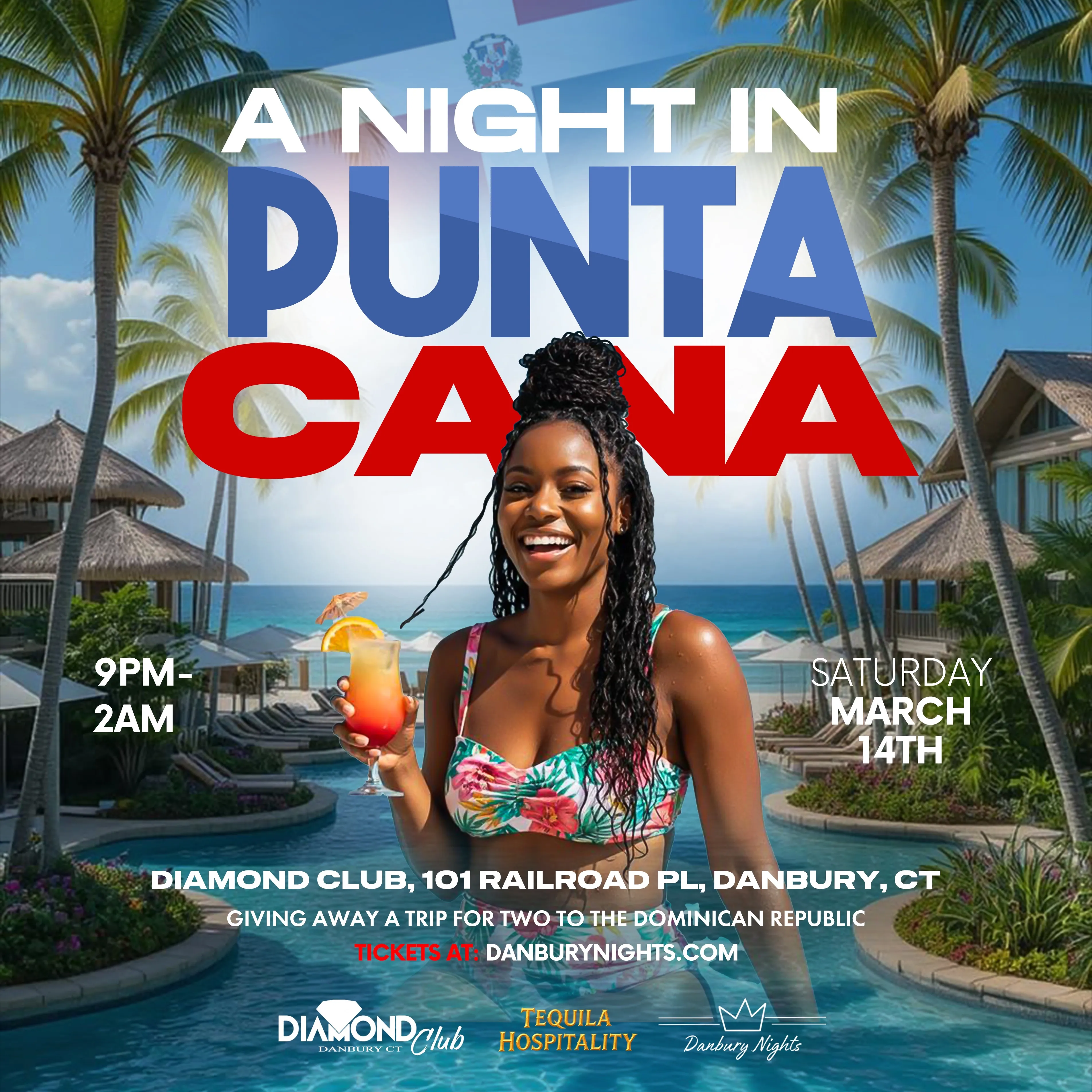 A Night In Punta Cana flyer