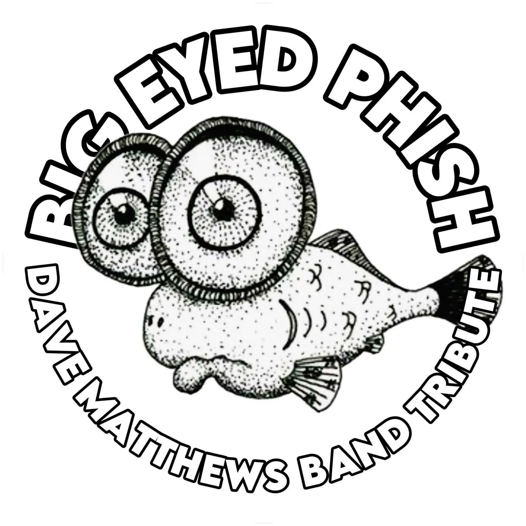 DAVE MATTHEWS TRIBUTE BAND flyer